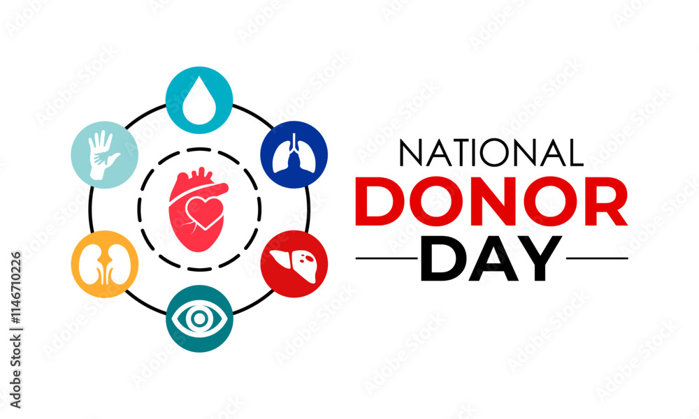 Vector graphic of on the theme of National Organ Donor day observed each year on February 14th. Organ, eye and tissue donation. Banner poster, flyer and background design template. Vector illustration Vector graphic of on the theme of National Organ Donor day observed each year on February 14th. Organ, eye and tissue donation. Banner poster, flyer and background design template. Vector illustration
