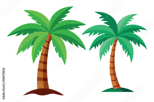  palm tree vector illustration