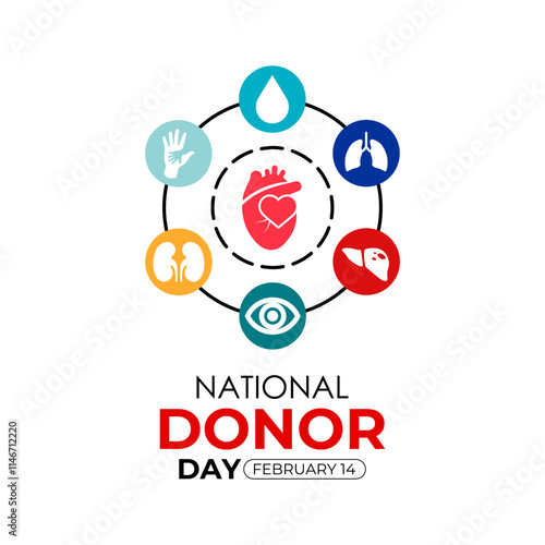 Vector graphic of on the theme of National Organ Donor day observed each year on February 14th. Organ, eye and tissue donation. Banner poster, flyer and background design template. Vector illustration