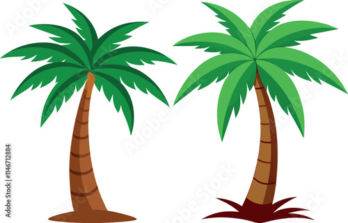  palm tree vector illustration
