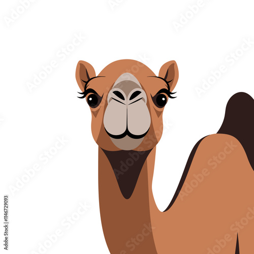  Cute Camel Vector Illustration Desert Animal Art