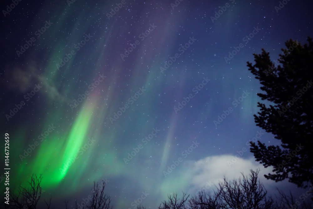 Fototapeta premium Aurora borealis, polar lights with Milky Way stars.