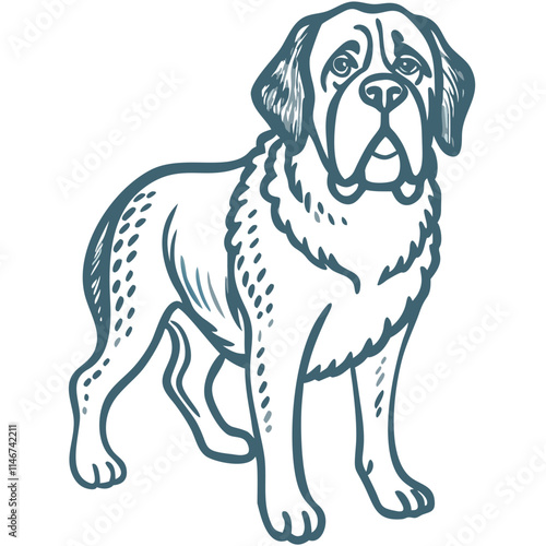  St Bernard Dog Vector Illustration for Pet Lovers and Designers