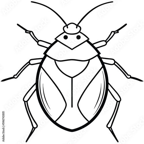 stink bug insect flat vector illustration on white background