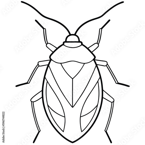 stink bug insect flat vector illustration on white background