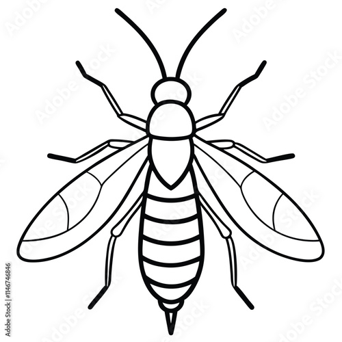 Stonefly insect flat vector illustration on white background