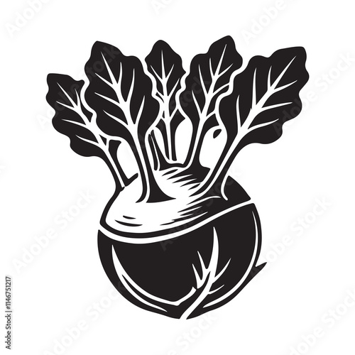 Kohlrabi Silhouette Vector Illustration, Solid White Background.