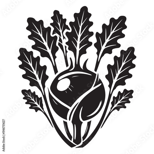 Kohlrabi Silhouette Vector Illustration, Solid White Background.