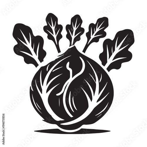 Kohlrabi Silhouette Vector Illustration, Solid White Background.