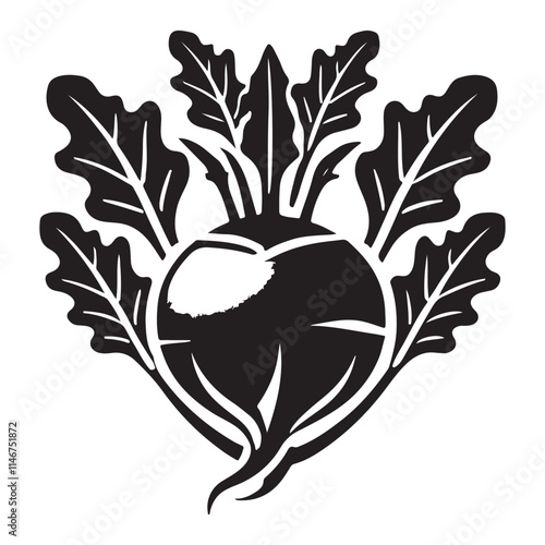Kohlrabi Silhouette Vector Illustration, Solid White Background.