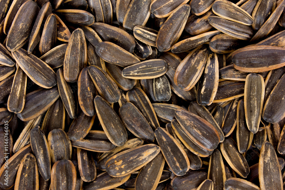Sunflower seeds background, Top view Sunflower seeds background, Top view