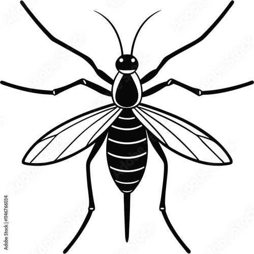 Water Strider insect flat vector illustration on white background