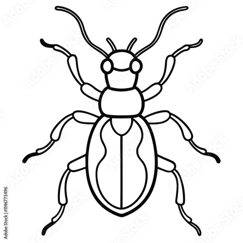 weevil insect flat vector illustration on white background