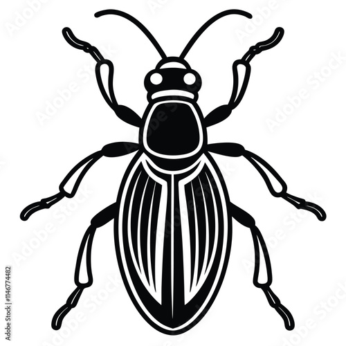 weevil insect flat vector illustration on white background