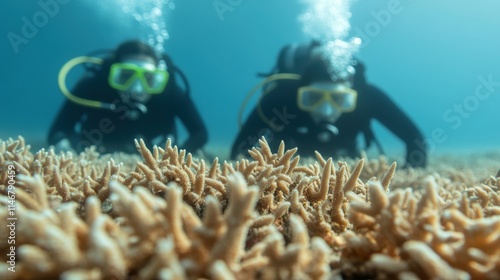 Underwater conservation engaging divers coral restoration a healthy marine ecosystem photo