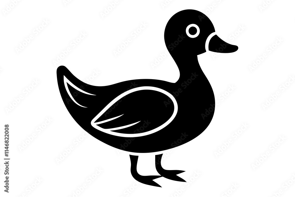 duck isolated on white background duck isolated on white background