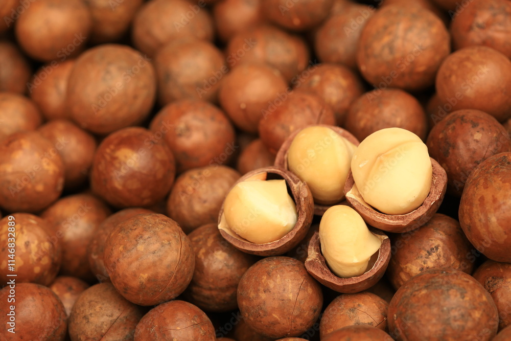 Macadamia nuts texture Background with dried. Fresh macadamia nut shelled from natural high protein for to drying Macadamia nuts texture Background with dried. Fresh macadamia nut shelled from natural high protein for to drying