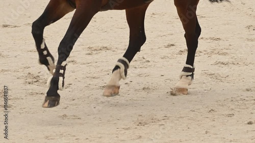 Horse and jockey showcase incredible jumping skills in equestrian competition