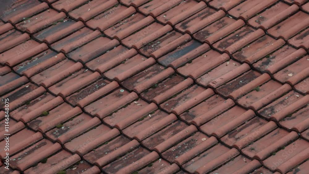 Roof tiles in autumn in Serbia Roof tiles in autumn in Serbia