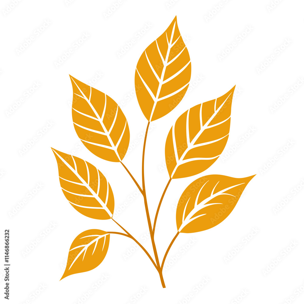autumn leaves vector illustration autumn leaves vector illustration