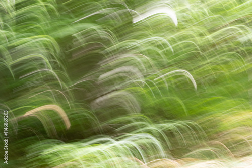 Abstract fantasy green waves photo