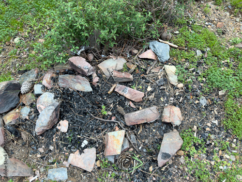 Charred remains of a campfire surrounded by scattered rocks, pinecones, and green plants in a forest setting, close up, detail, top view photo