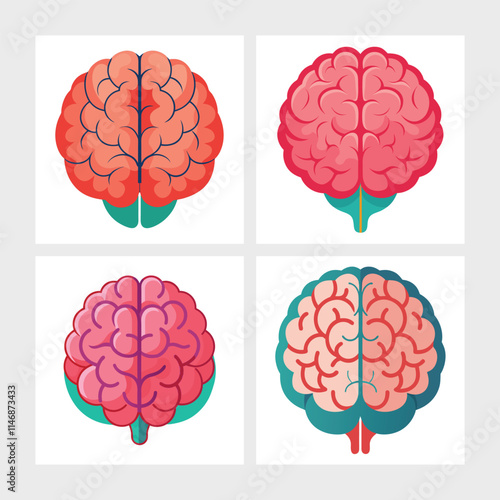 Human Brain Anatomy Visual Pack.