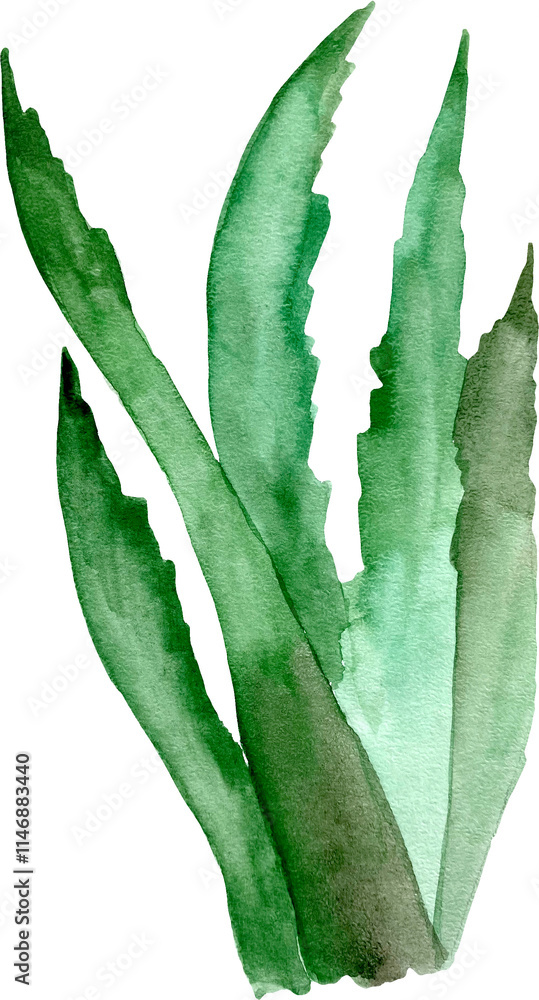 Obraz premium Watercolor cactus and succulent plants
