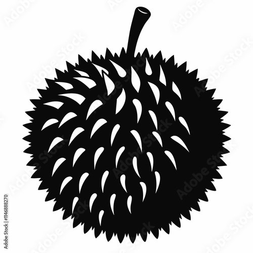 Durian Art vector