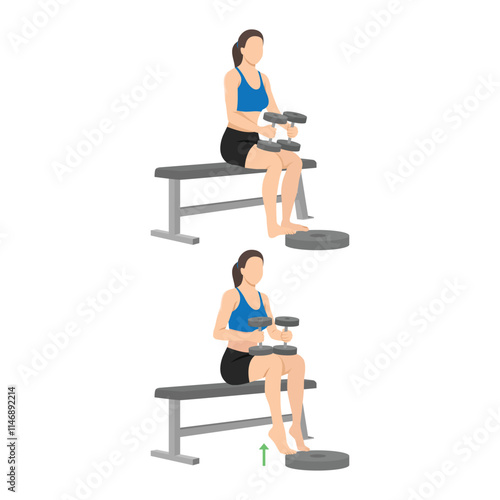 Woman doing seated dumbbell calf raises. Flat vector illustration isolated on white background