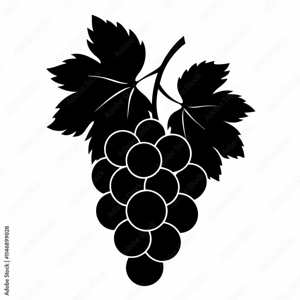 Fototapeta premium Grapes Art vector