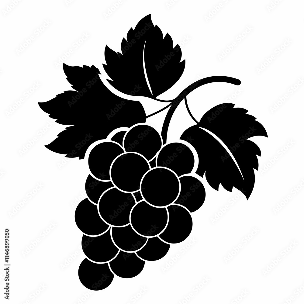Fototapeta premium Grapes Art vector