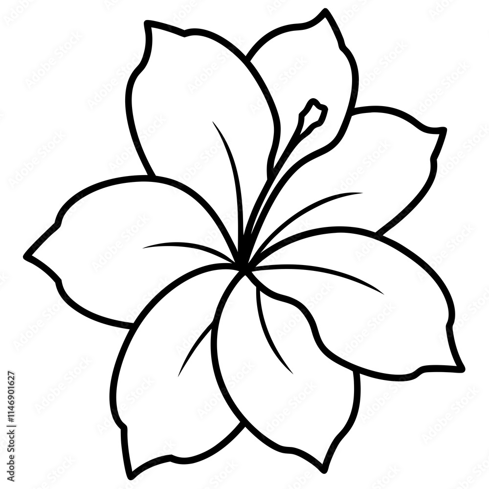 Obraz premium Hibiscus Flower Simple Line Art Silhouette
