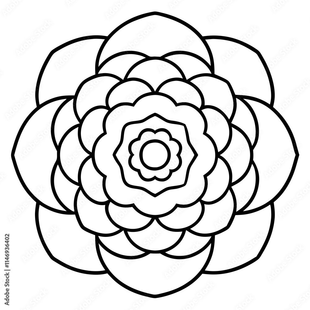 Ranunculus Flower Mandala Art Vector Ranunculus Flower Mandala Art Vector