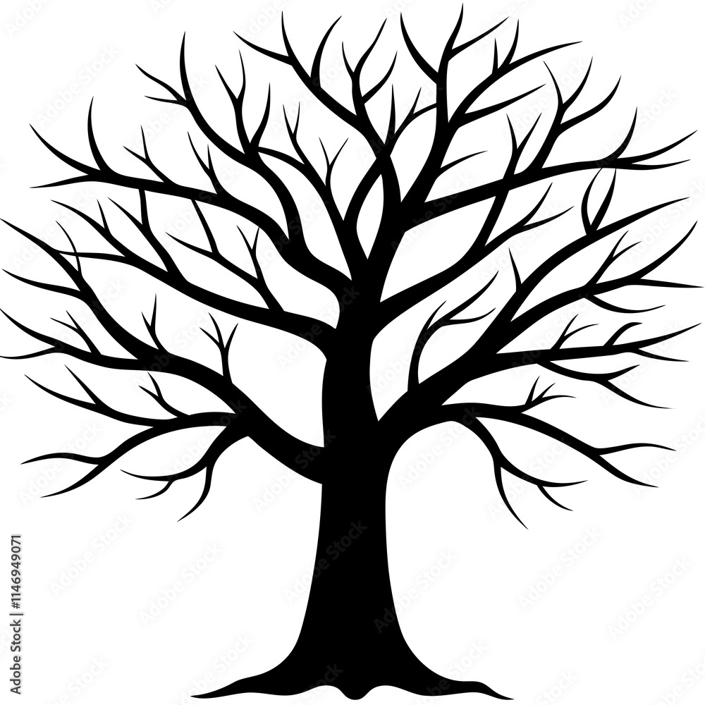Obraz premium tree, without leaves Silhouette