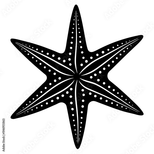 starfish silhouette vector illustrator