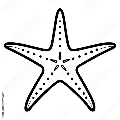 starfish line art vector