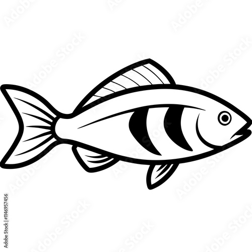 Trout fish line art  vector illustrator 