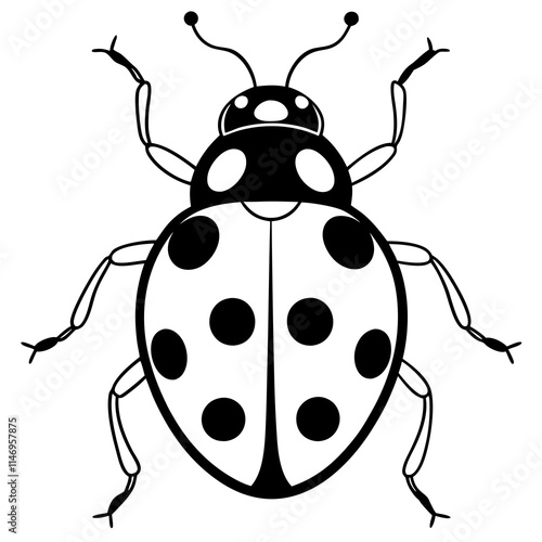 ladybug line art vector