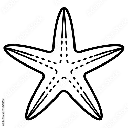 starfish line art vector photo