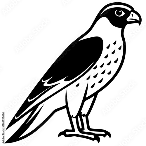 falcon  line art vector photo