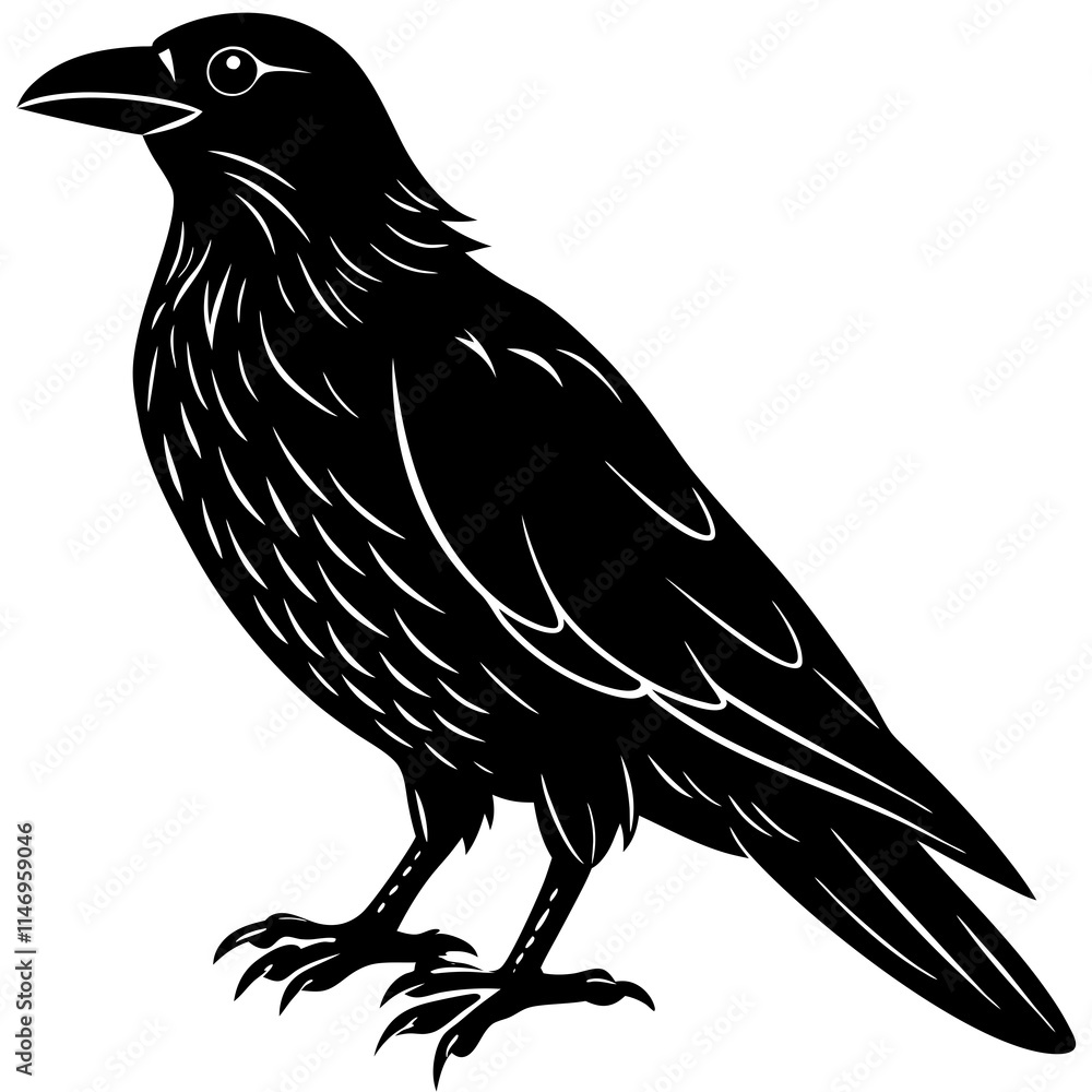 Obraz premium raven silhouette vector illustrator