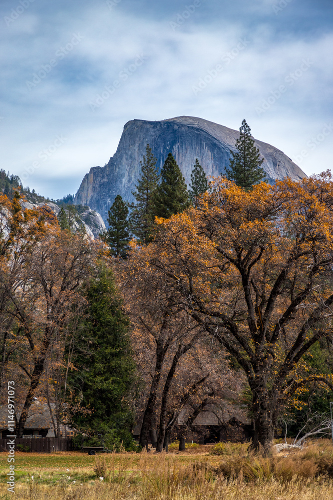 Majestic Half Dome rises above Yosemite Valley