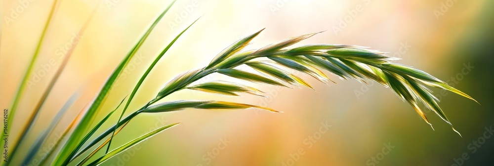 Obraz premium Serene Grass Blade Pastel Backdrop - Symbolizing tranquility, growth, nature, purity, and renewal. A single grass blade stands elegantly against a soft pastel background.
