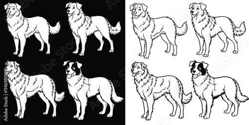 australian shepherd dog line art,silhouette,vector,illustration