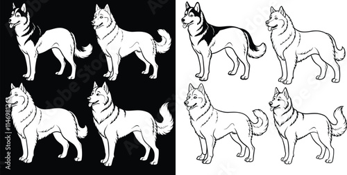 alaskan malamute dog line art,silhouette,vector,illustration