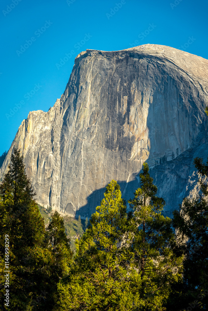 Half Dome looms over Yosemite Valley