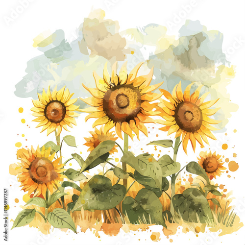 A watercolor painting of a patch of golden sunflowers with a cloudy autumn sky, isolated on a white background. 
