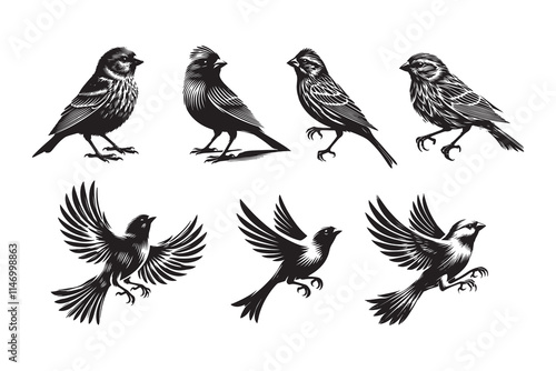 canary flying silhouette vector illustration with a white background