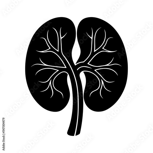 kidney silhouette, black and white silhouette, vector and illustration